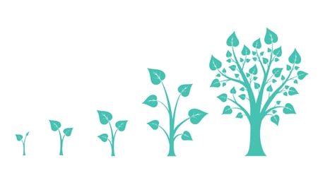 Growth